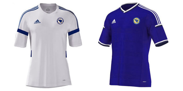 seleccion bosnia