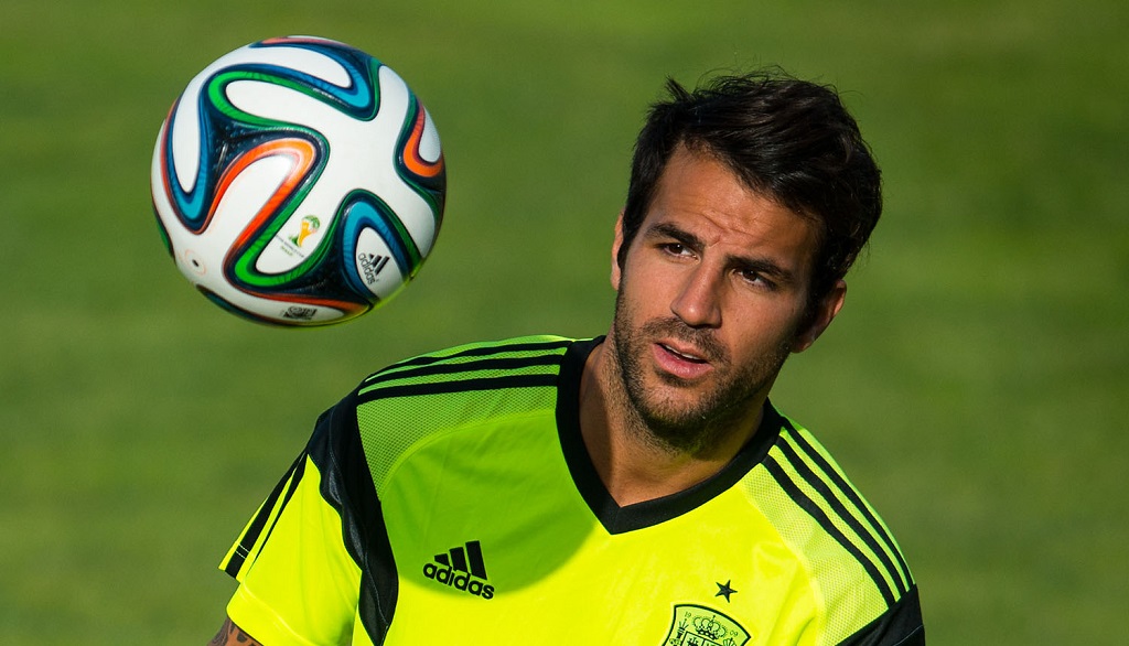 Cesc seleccion