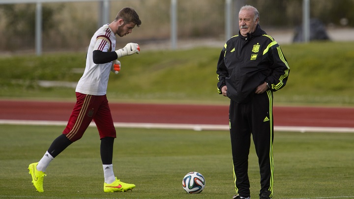 De Gea y Del Bosque